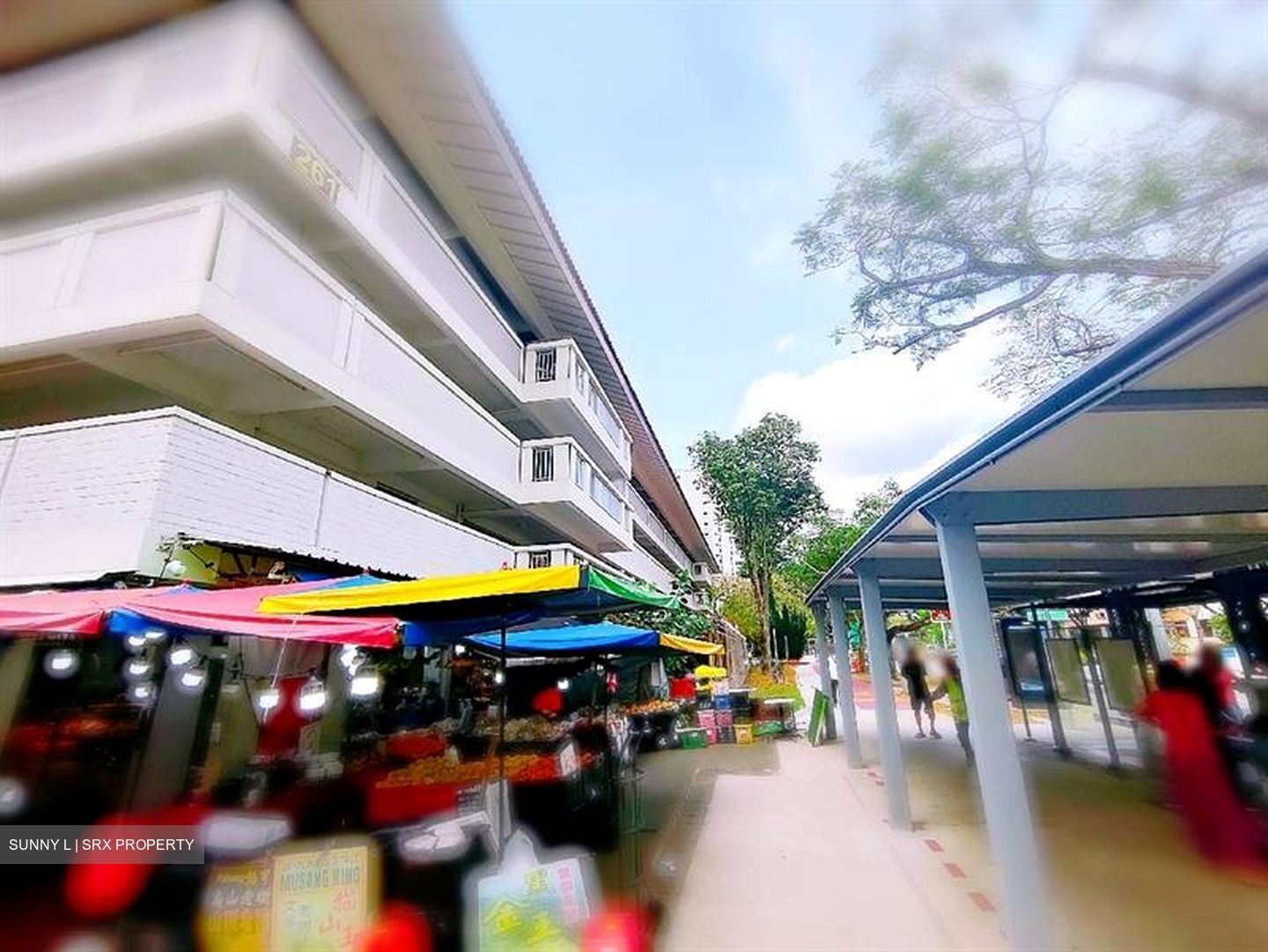 264 SERANGOON CENTRAL (D19), Shop House #611051221